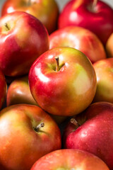 Healthy Seasonal Red Mcintosh Apples
