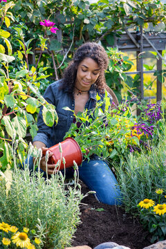 Woman planting flowers in her home garden