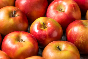 Healthy Seasonal Red Mcintosh Apples