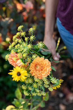 Detail of garden floral bouquet
