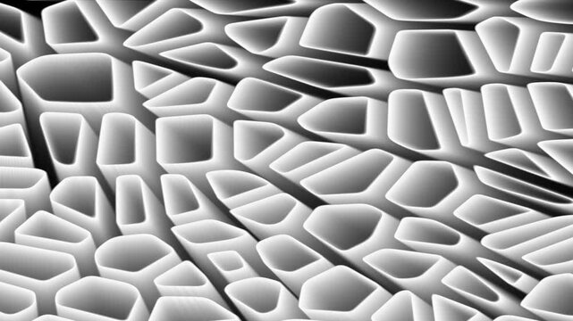 Abstract white glowing organic cellular mesh pattern on black background motion loop