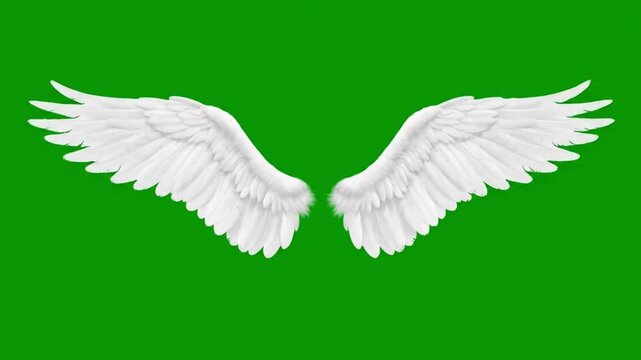 White Angel Wings Green Screen Background for Visual Effects and Compositing