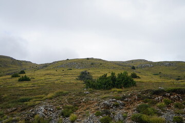 Fototapeta premium Rugged Mountain Landscape of Galicica National Park on a Cloudy Day (AI generated)