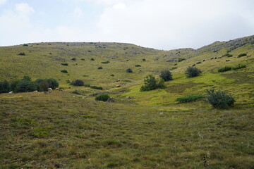 Obraz premium Rugged Mountain Landscape of Galicica National Park on a Cloudy Day (AI generated)