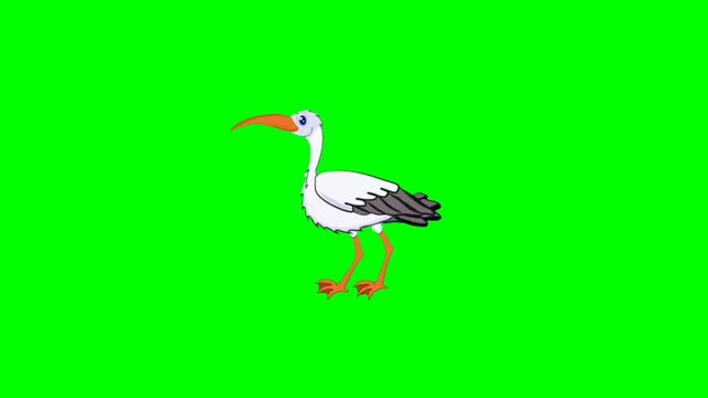vector illustration of a stork