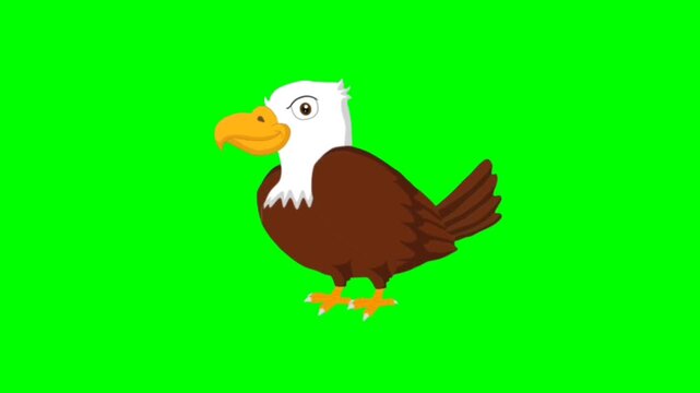 illustration of a eagle standing character with green screen video