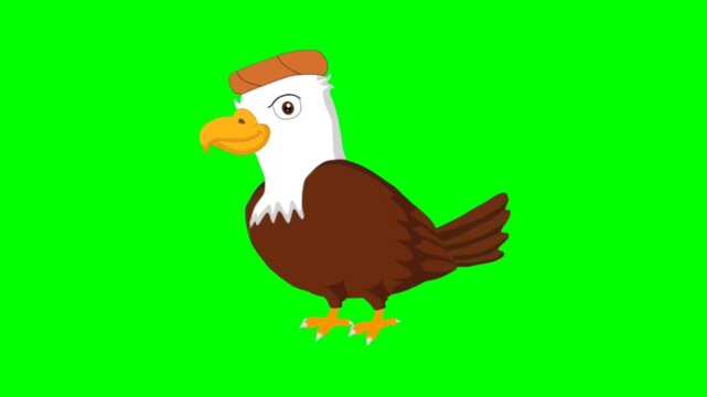 illustration of a eagle standing character with green screen video