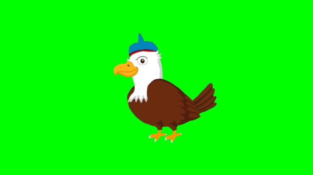 illustration of a eagle standing character with green screen video