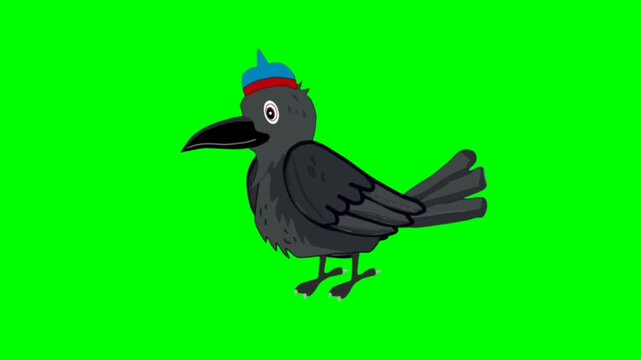 illustration of a crow standing character with green screen video