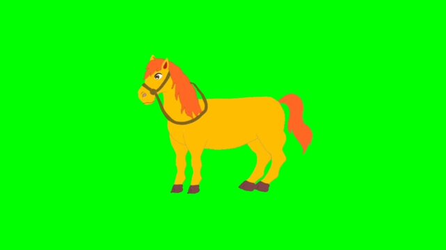 vector illustration of a horse