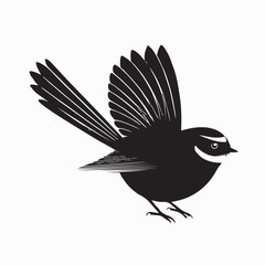 Obraz premium New Zealand Fantail Bird Silhouette Vector on White Background