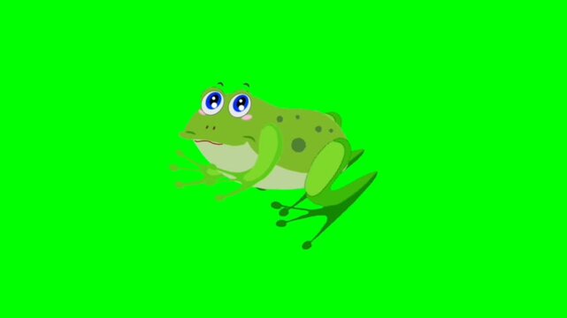 illustration of a frog animal standing character with green screen video