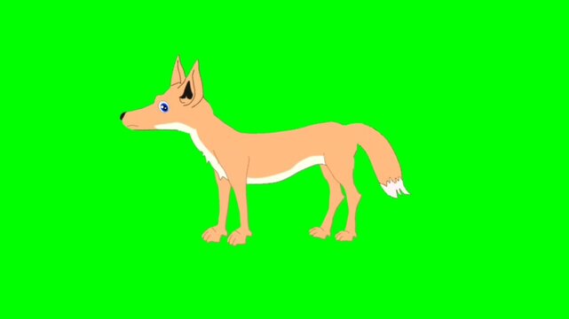 illustration of a fox standing character with green screen video