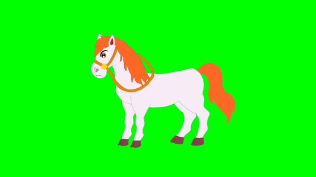 vector illustration of a horse green screen video with chroma key 