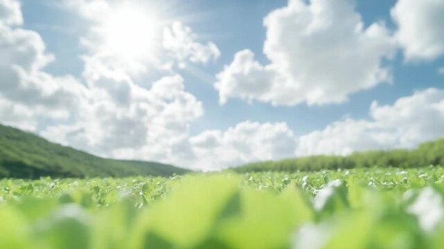 Horizon of Bliss: A tranquil vista presents a vibrant tableau of lush greenery extending towards a captivating horizon, under a sky teeming with puffy, cotton-like clouds.