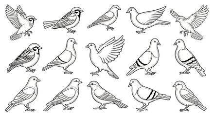 Elegant line art showcasing a diverse collection of avian species in various poses on white