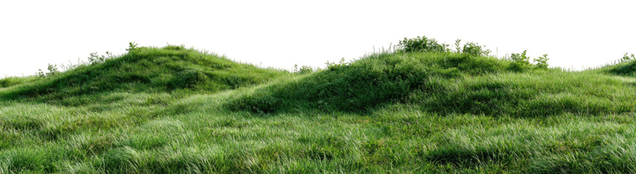Rolling green hills of grass