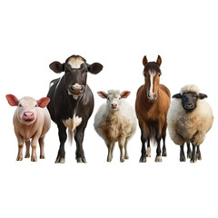 Fototapeta premium Five farm animals standing in a row Keywords: farm animals, cow, calf, sheep, lamb, horse isolated on a transparent background