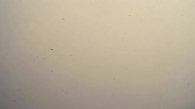 Small particles embedded soft haze minimal atmospheric cinematic surreal ethereal ambience cascading softly glowing futuristic abstract unique style