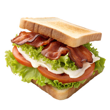 BLT sandwich isolated on transparent background