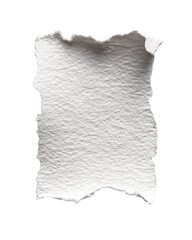A torn piece of off-white paper, slightly textured, with irregular edges