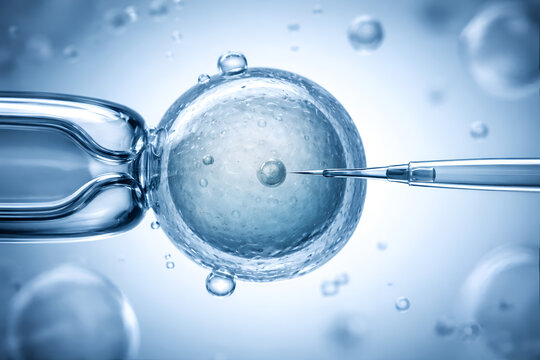 Fertilization In Vitro: IVF Concept Image