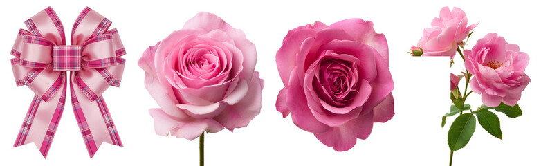 Pink Rose Flowers and Pink Satin Ribbon Bow Clipart Set on Transparent Background for Valentines Day
