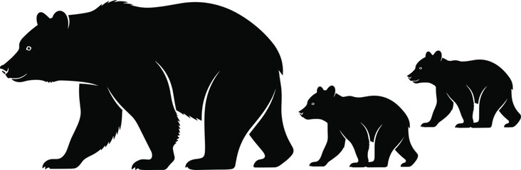 Bear silhouettes family walking isolated on white background, mother bear with cubs wildlife animal group, nature, forest fauna, animal growth, size comparison illustration © Mst