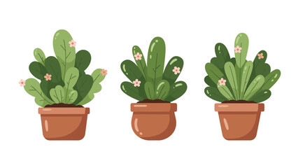 Obraz premium Set of three green leafy plants in terracotta pots decorated with delicate pink flowers for interior decoration or gardening themes.