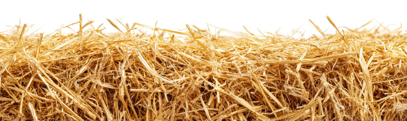 Close-up view of a large pile of straw.  Dried, light golden-brown stalks densely packed together