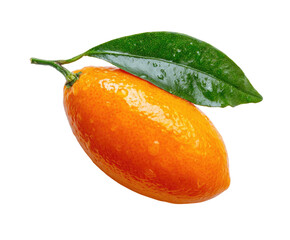 Close-up of a kumquat with leaves. Fresh, vibrant orange kumquat fruit with green leaves. Water droplets on the surface