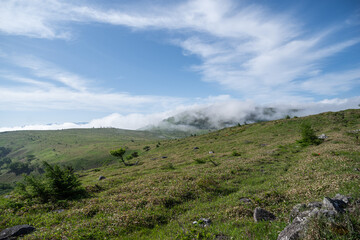 爽やかな朝の高原　霧ヶ峰	