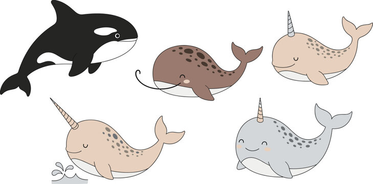 Narwhal cartoon vector set. Cute sea unicorn whales with orca character. Kawaii arctic marine animals illustration isolated on white background.