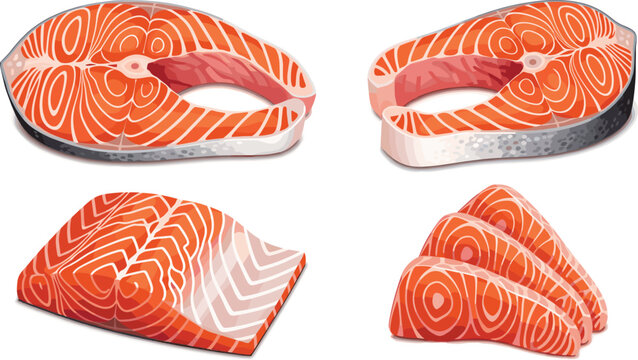 Salmon fish steak vector set with fresh raw slices. Detailed seafood cut illustration collection. Healthy protein food design for menu, packaging and culinary projects.