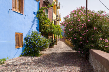 Obraz premium Colorful cobblestone alley in Bosa, Sardinia, featuring a vivid blue facade, wooden shutters, and lush flowering bushes in sunlight. The tranquil passageway is lined with greenery and vibrant