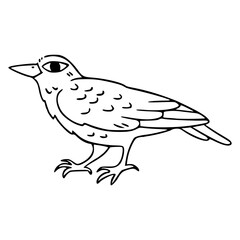 Obraz premium doodle raven line art isolated on white background