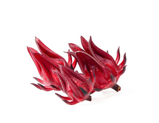 Fresh roselle isolated on transparen png.