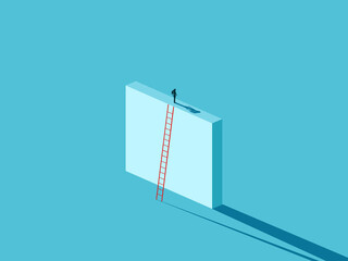 businesswoman successfully stood on the wall