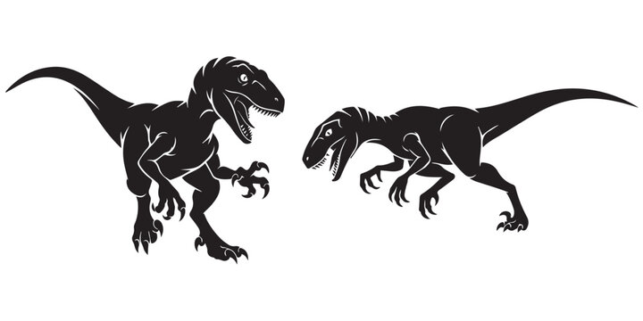 Two angry velociraptors standing in fighting position isolated on white eps 10