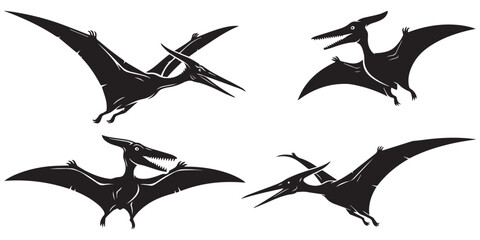 Four black pterodactyl silhouettes in various flying poses eps 10 © md