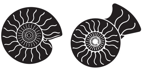 Pair of black ammonite shell silhouettes, ancient marine fossils © md