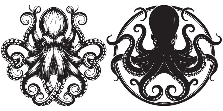 Detailed octopus graphic art with intricate decorative style silhouette art and illustrator eps 10
