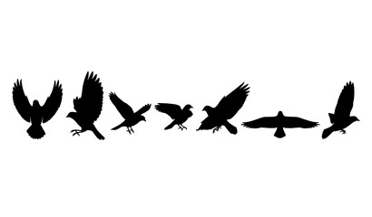 Fototapeta premium Black flying birds icon set in solid minimal style for vector design and UI