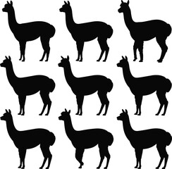Obraz premium Alpaca and llama silhouettes set, farm livestock animals standing poses, rural agriculture wildlife illustration, isolated black animal figures collection
