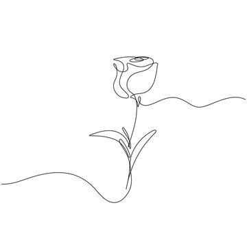 Minimalist continuous line drawing of a rose with abstract shapes, minimalist vector design for wall art and home decoration