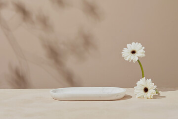 Minimal scene with a white ceramic podium and single daisy flower on a beige pastel background