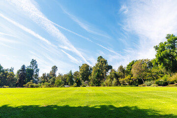 Obraz premium A vast green grass meadow stretching towards the horizon with a trees