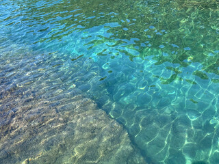 Fototapeta premium Mediterranean sea transparent water with algae.