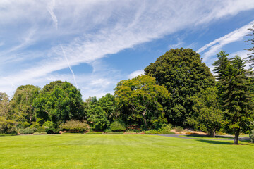 Obraz premium A vast green grass meadow stretching towards the horizon with a trees