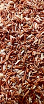 Organic Sangyot brown rice, an indigenous Thai rice variety, is rich in nutrients, fiber, and antioxidants, reflecting the concept of clean food, a healthy lifestyle, and sustainable agriculture 